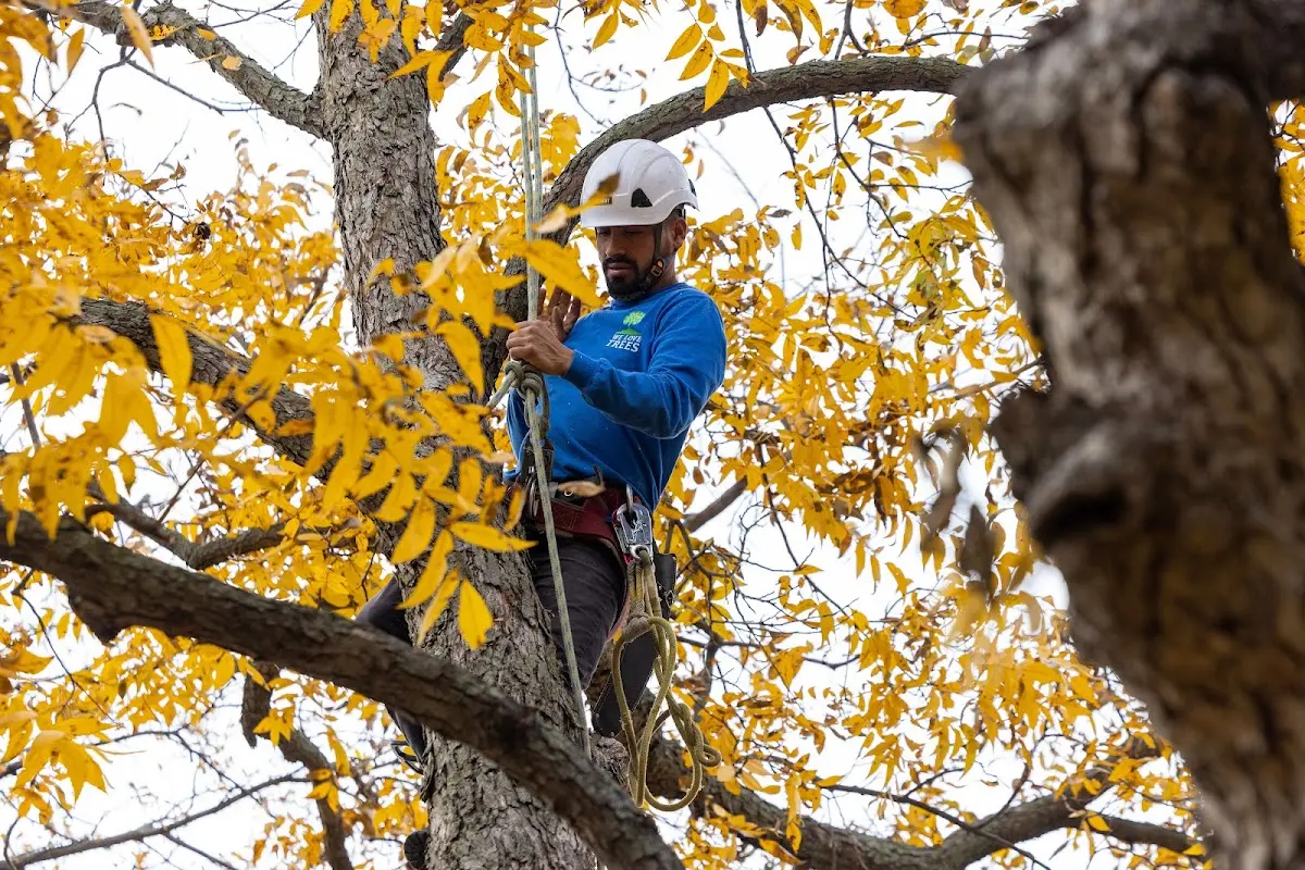 Skilled Storm Damage Cleanup crew working in Caldwell